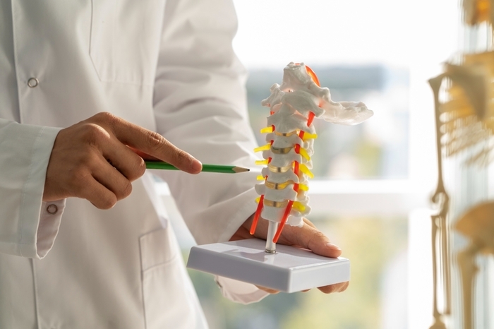 Substância brasileira é estudada para reverter paralisia por lesão na medula. (Freepik)