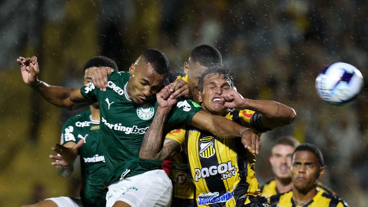Palmeiras x Mirassol: onde assistir ao vivo e escalações do jogo de ...