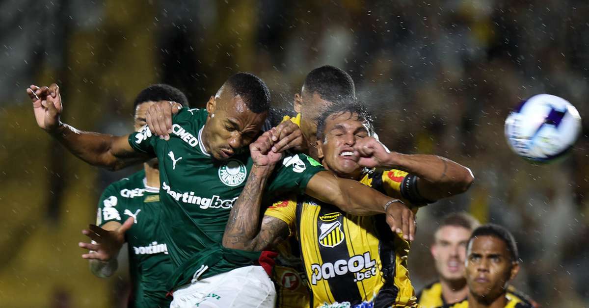 Palmeiras x Mirassol: onde assistir ao vivo e escalações do jogo de ...