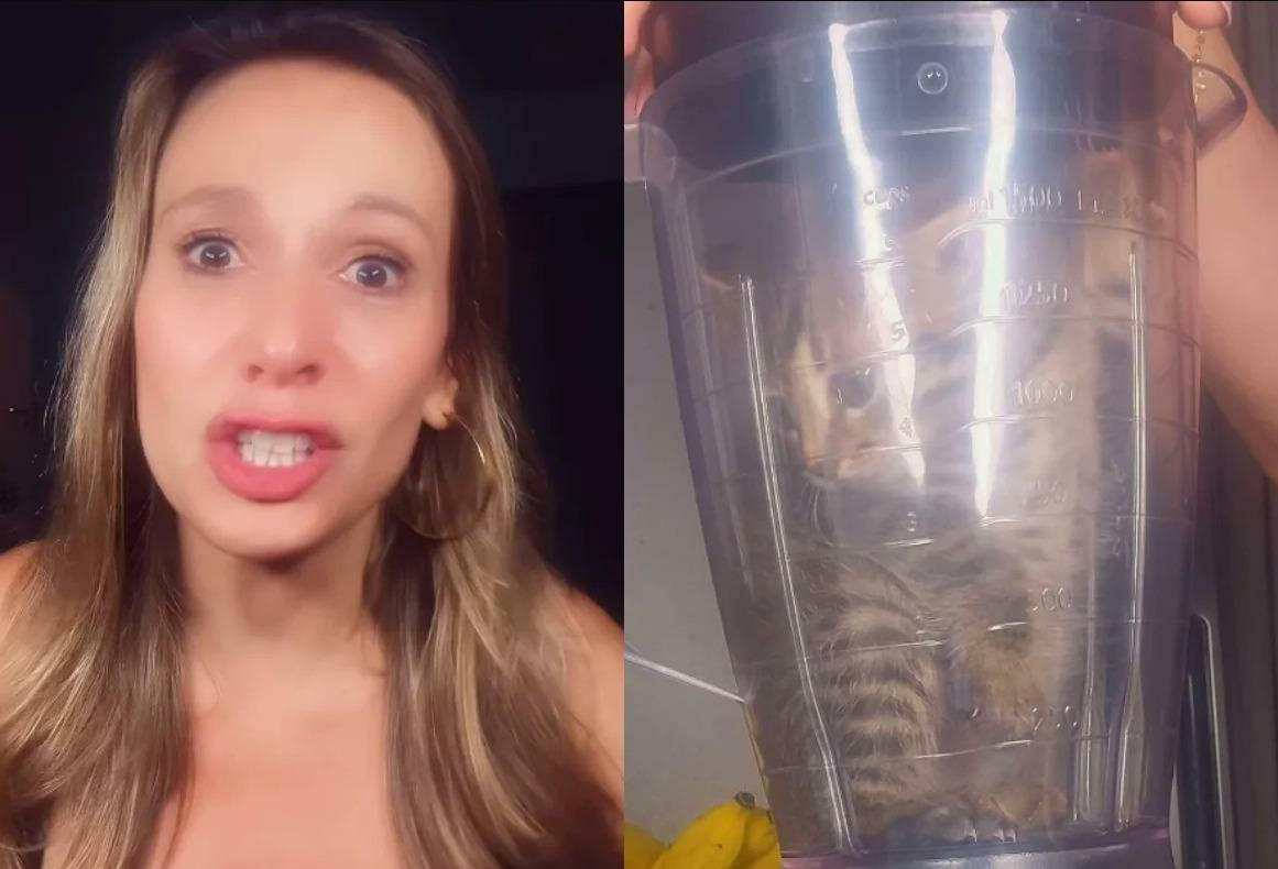 Luisa Mell chora após adolescente triturar gato no liquidificador e denuncia transmissões no Discord
