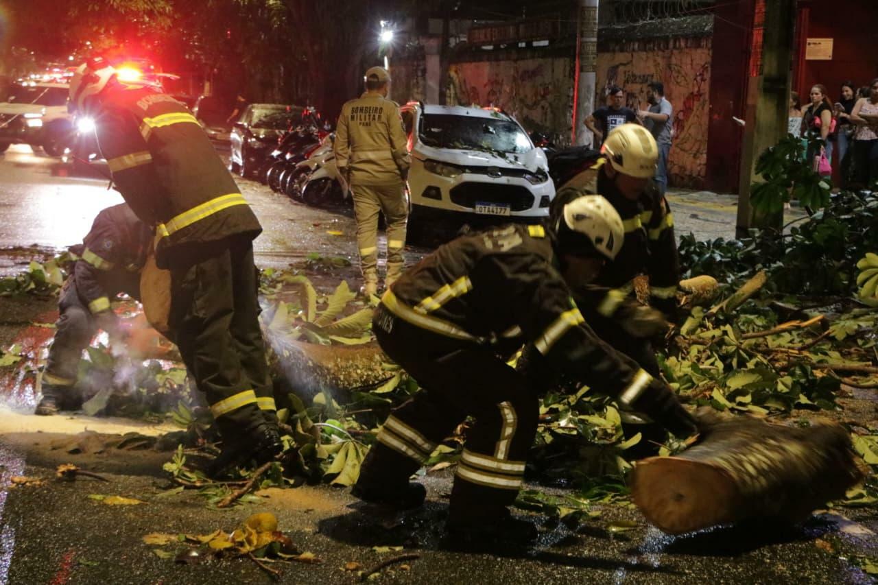 Árvore cai na avenida Magalhães Barata após chuva intensa em Belém