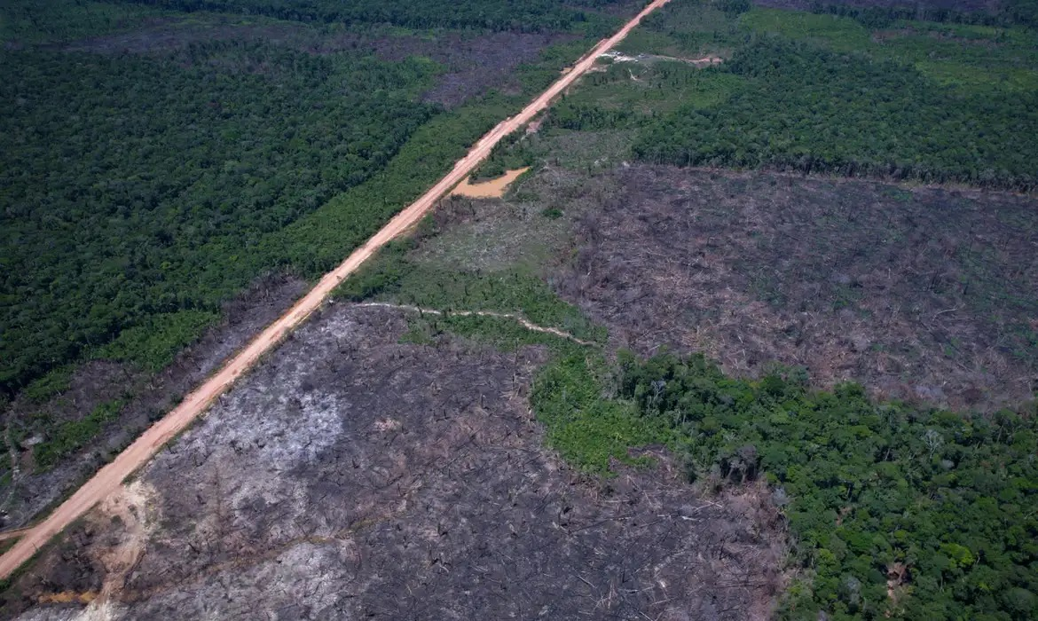 Mais de 580 áreas protegidas da Amazônia não registraram desmatamento no primeiro semestre