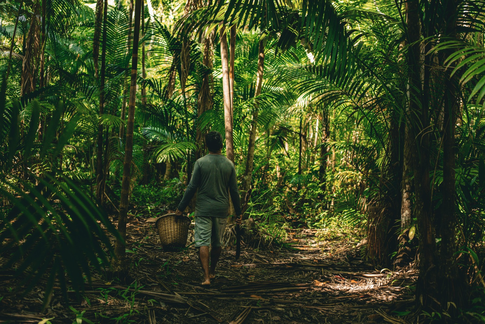 Dia da Amazônia: biodiversidade da floresta inspira inovação na indústria da beleza - Foto