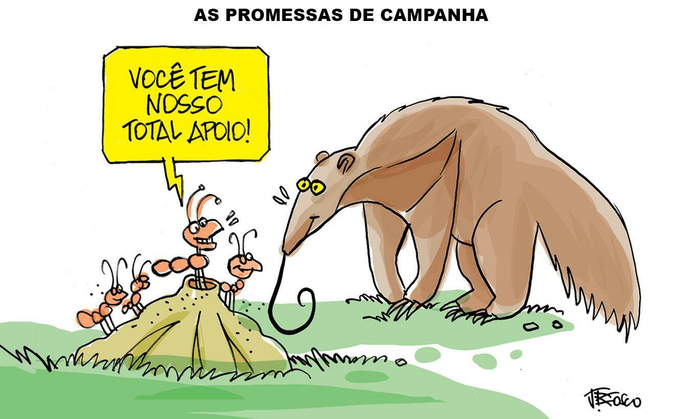 As promessas de campanha que podem iludir