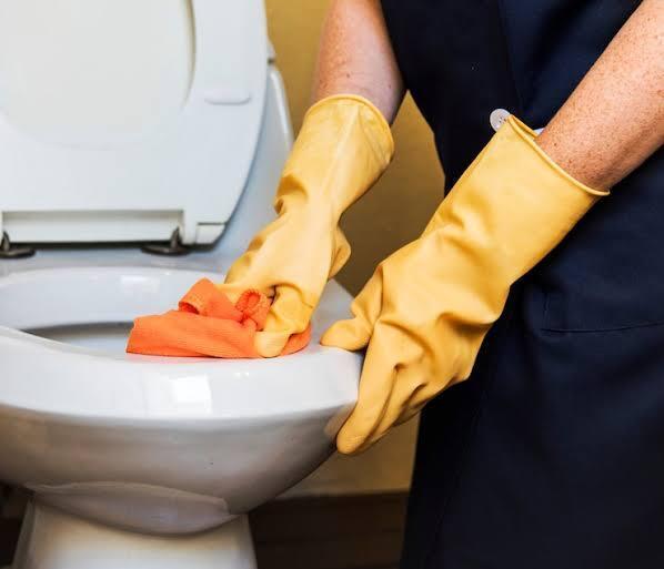 Vinagre na base do vaso sanitário? Veja os benefícios e como usar na limpeza