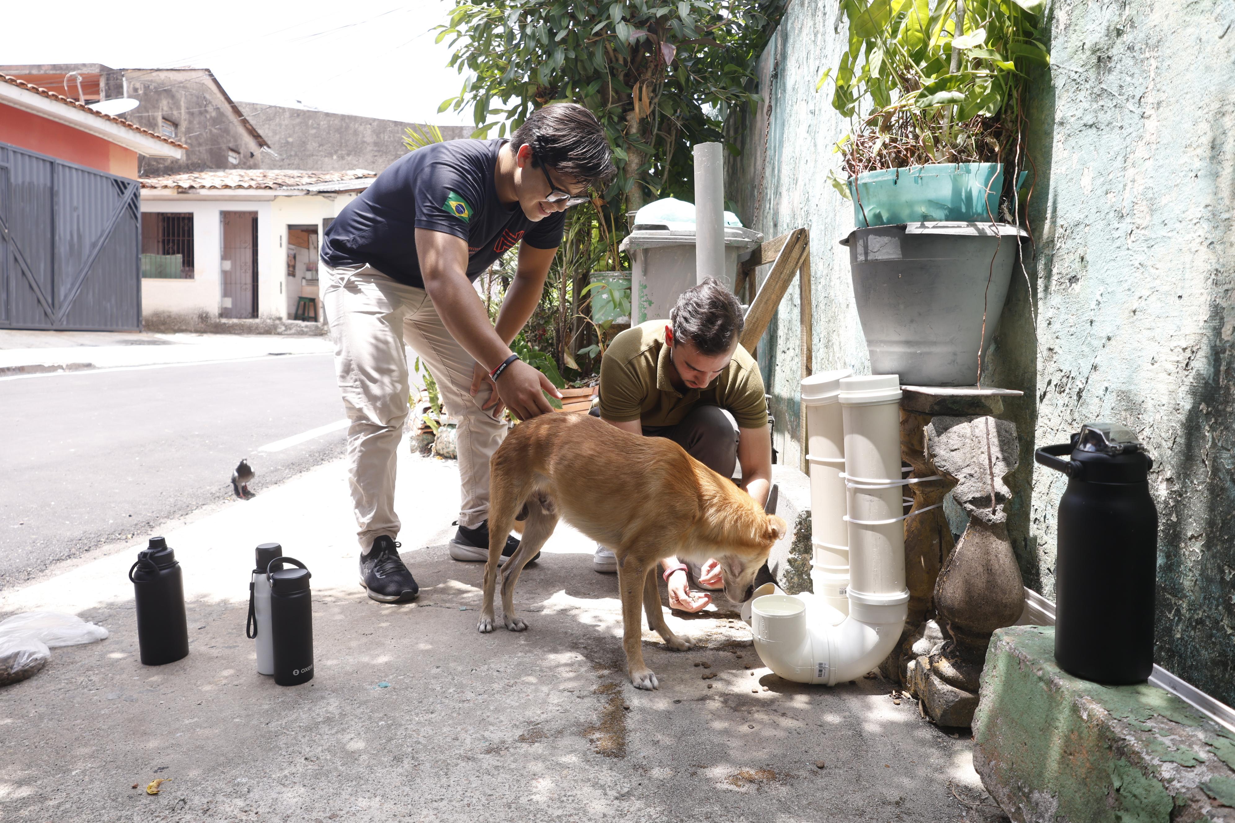 Iniciativa leva água e comida a cães e gatos nas ruas de Belém - Foto