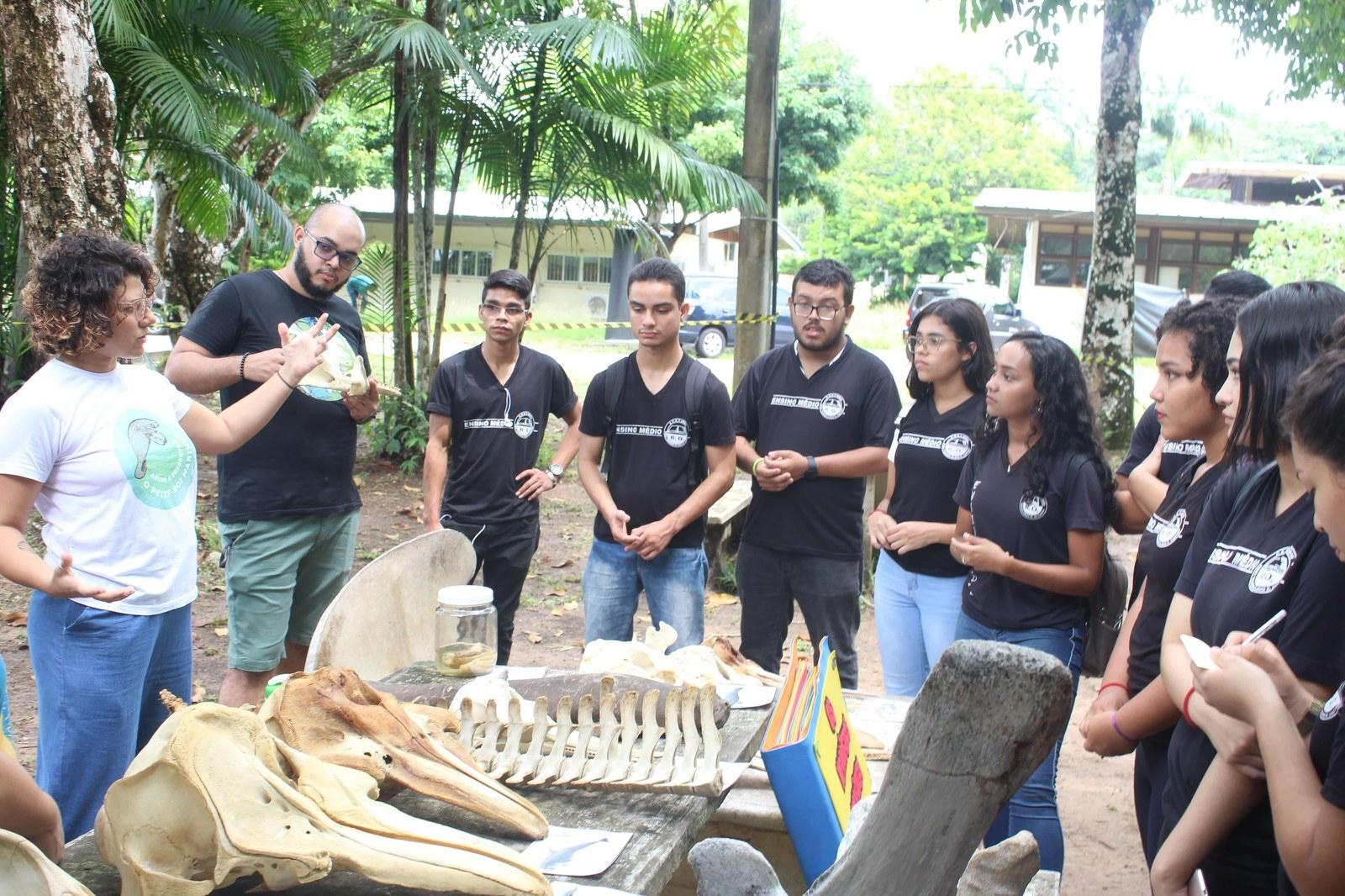 Programação gratuita do Museu Goeldi será realizada em Belém nesta terça (27) - Foto
