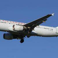 A Air Canada pediu desculpas pelo incidente e afirmou ao canal CTV que está investigando o ocorrido
