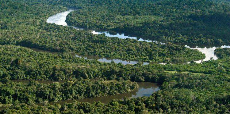 Tamara Saré / Agência Pará