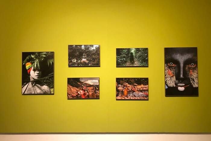 Telas de Emerson Munduruku em exposição no Arte Pará 2019