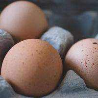 Os reajustes nos demais itens da cesta básica contribuem como principal fator para a elevação nos preços da dúzia dos ovos