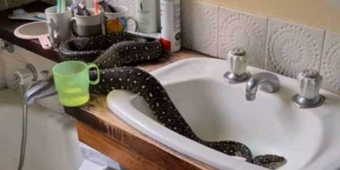 Reprodução / Facebook