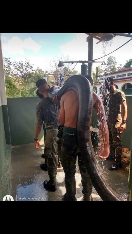 Militares tiraram fotos com a sucuri