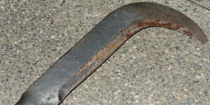 Reprodução Reprodução