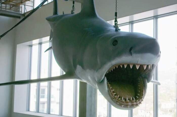 Último modelo para o animal do filme Tubarão será exposto em museu
