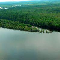 O congresso irá discutir sobre sobre a biodiversidade, biotecnologia e a conservação da Amazônia