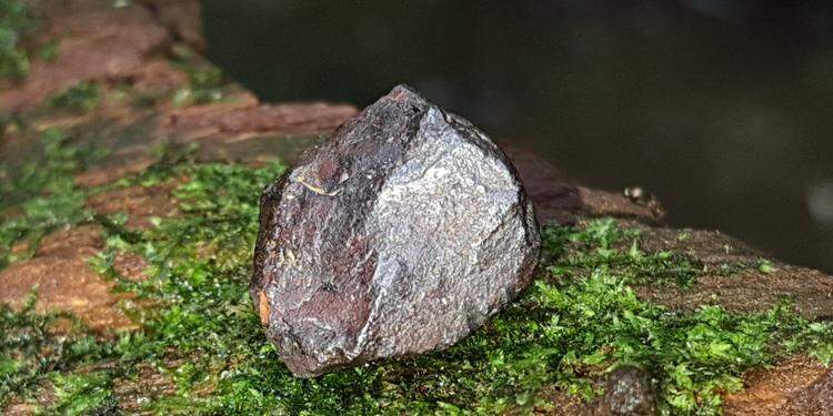 Divulgação Divulgação