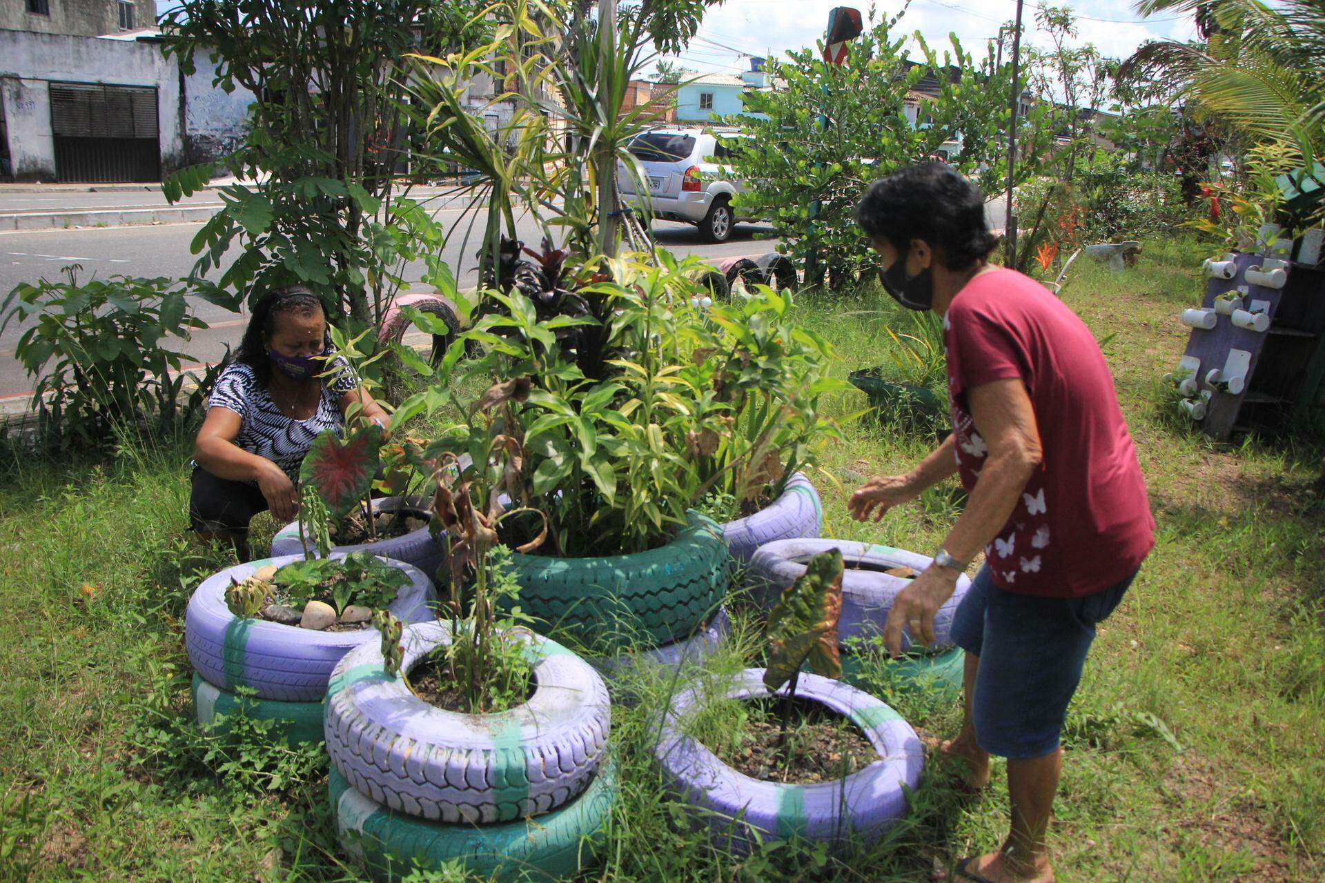 Belém deve ter 150 mil mudas plantadas até 2024 Belém O Liberal