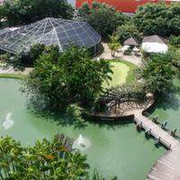 O Mangal das Garças é um parque urbano, às margens do rio Guamá, no entorno do Arsenal da Marinha