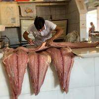 Feirantes relatam melhoras nas vendas de pescado, em Santarém