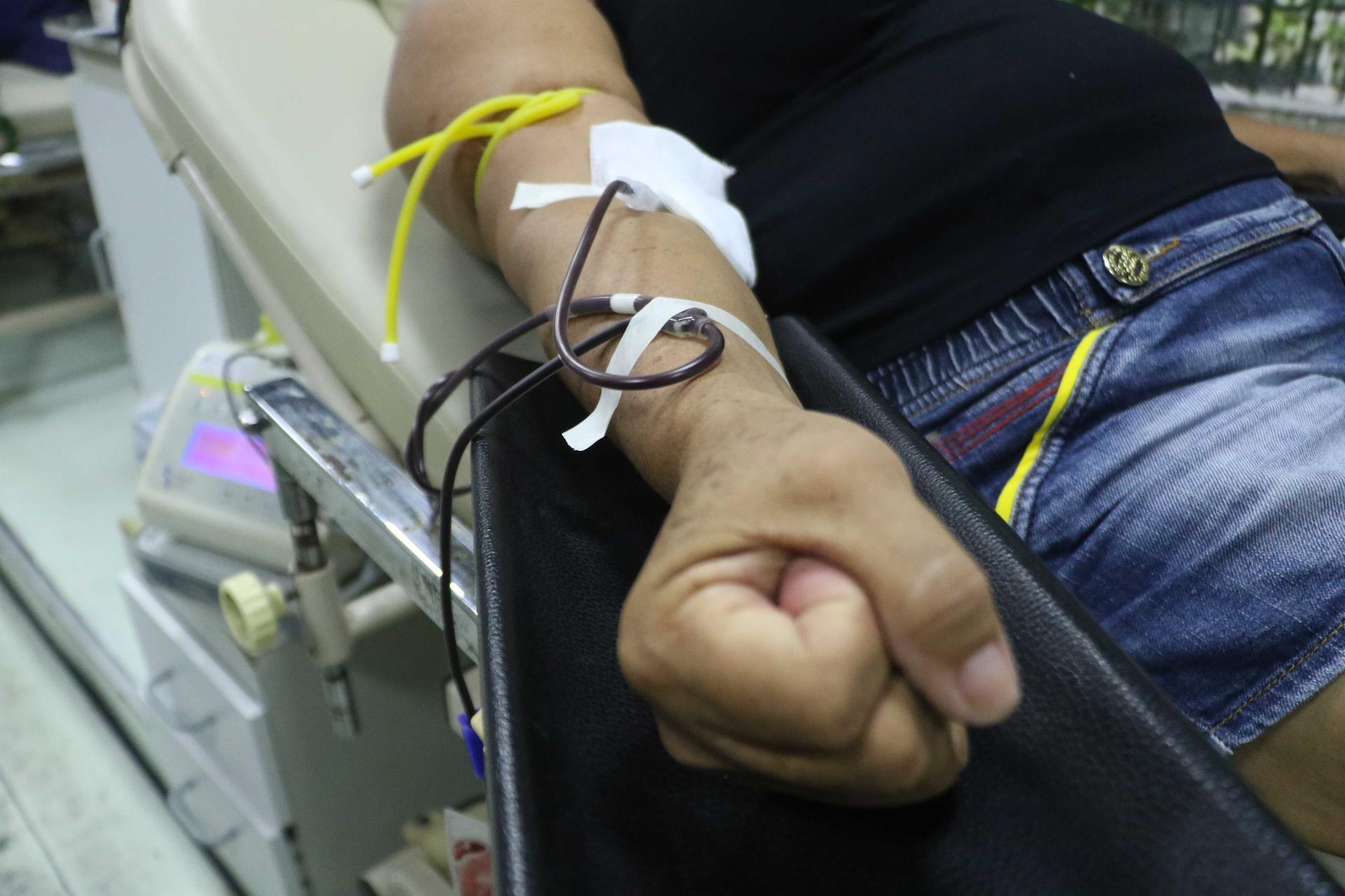 Ativistas LGBTQIA+ elogiam decisão do Senado sobre doação de sangue - OLiberal.com
