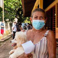 Vacinação de cães e gatos contra a raiva em Ananindeua