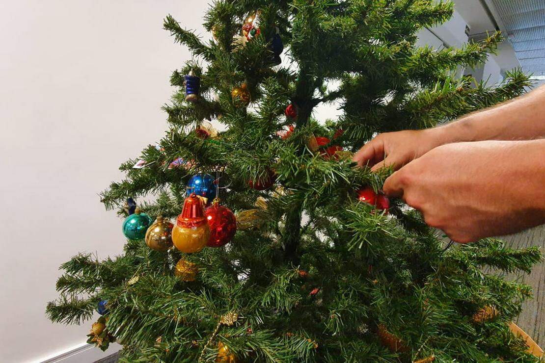 Dá azar desmontar a árvore de Natal? Entenda como funciona a tradição do Dia  dos Reis | Cultura | O Liberal