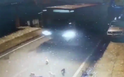Motorista que atropelou e matou cachorros em Moju é ouvido pela Polícia Civil