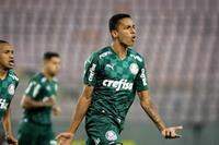 Angelo Salvioni / Palmeiras
