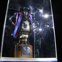 Taça Estrela do Norte é o desejo das 12 equipes do Parazão 2022