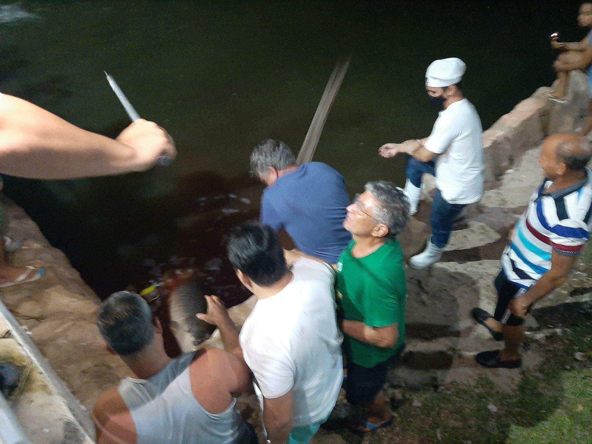 Polícia Civil investiga condomínio de luxo onde moradores mataram pirarucu a pauladas no Pará