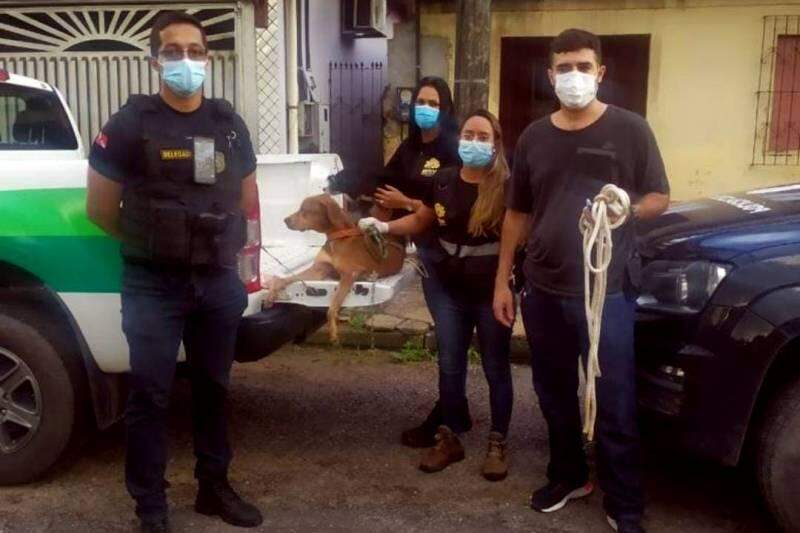 Homem que se passava por médico veterinário é alvo de busca e apreensão por falsidade ideológica