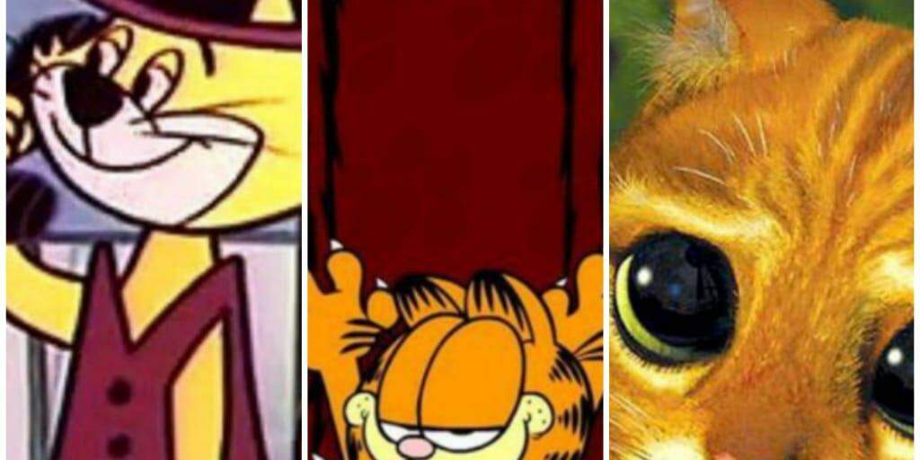 Dia Mundial do Gato: PetCenso destaca nomes inspirados em personagens  famosos