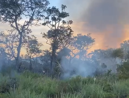 Incêndio destrói área de proteção ambiental em Santarém