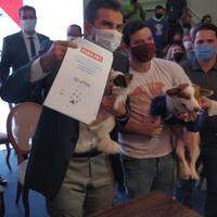 "Frida" e o "Piratinha" assinaram com seus respectivos tutores, Igor Normando e Helder Barbalho o lançamento do programa que atenderá 3 mil cachorros e gatos com o serviço de castração móvel.