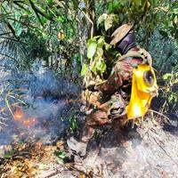 Nos últimos 20 anos, cerca de 9% do território da Amazônia já pegou fogo ao menos uma vez