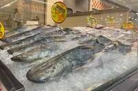 Nos Supermercados Líder o cliente encontra peixes frescos e congelados de qualidade para o almoço em família