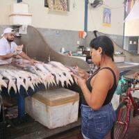 Pescado segue subindo de preço, em Belém