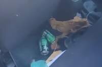 Dentro do carro particular, testemunhas registraram imagens de latinhas de cerveja