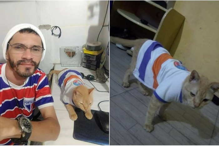 Gato Januário, famoso pelo meme 'opa não é bolo', morre no Ceará