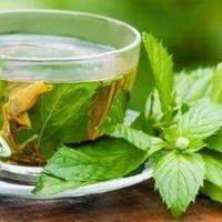 O chá de erva-cidreira é um dos chás mais consumidos no Brasil