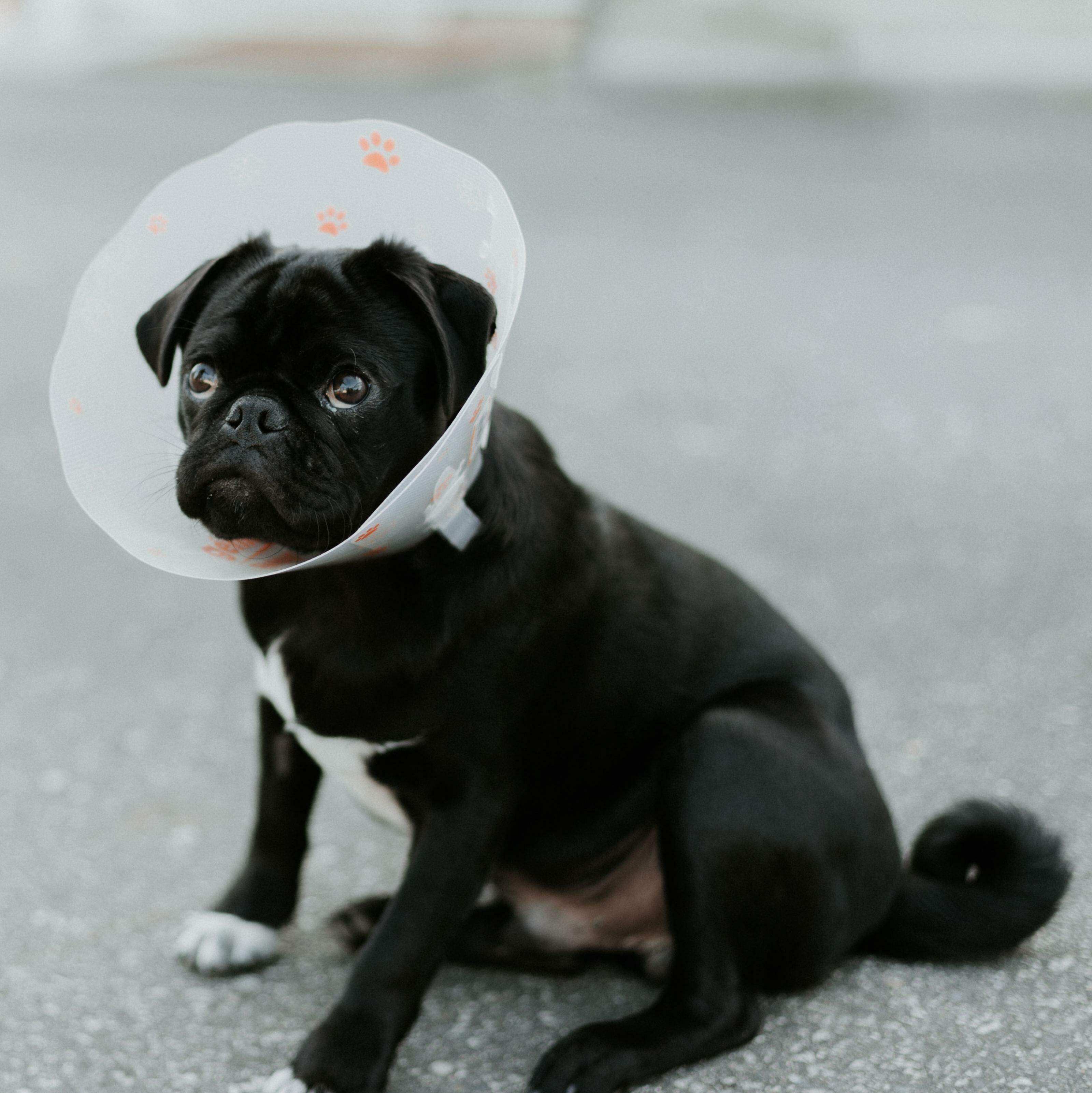 Priscilla Du Preez / Unsplash