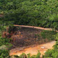 Em abril de 2022, o Pará ficou em terceiro no ranking do desmatamento. Mas no acumulado dos últimos nove meses, é o líder em devastação de florestas.