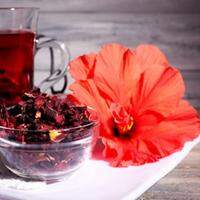 O chá de hibisco pode auxiliar no controle da pressão arterial e na prevenção de doenças hepáticas