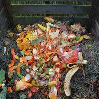 Restos de alimentos e outros resíduos orgânicos podem ser aproveitados na compostagem