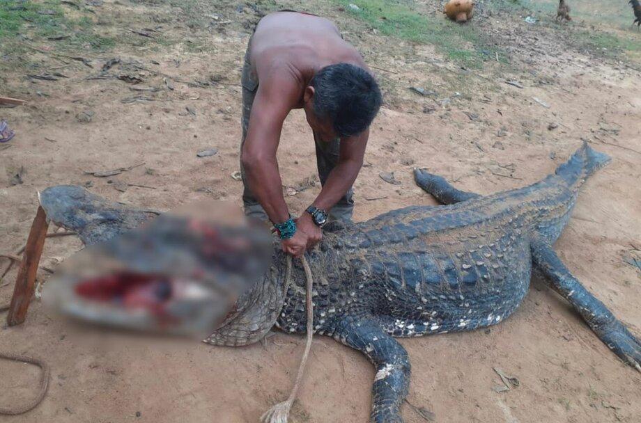 Reprodução/ Giro Portal