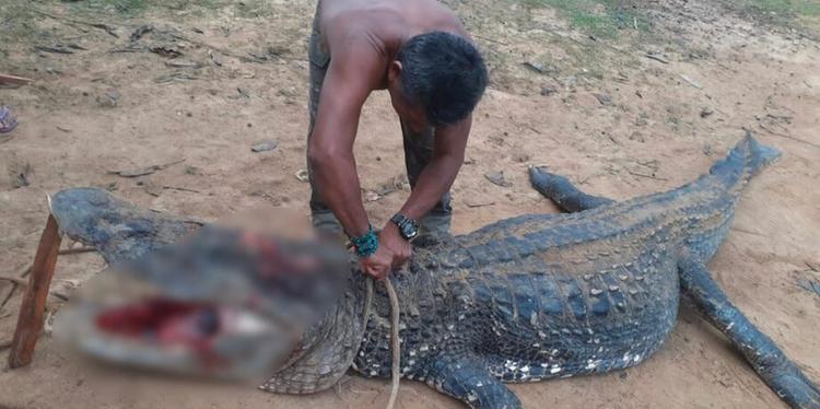 Reprodução/ Giro Portal