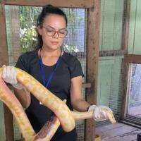 Uma cobra Píton foi encontrada em frente ao Parque Zoobotânico de Marabá. O animal estava em uma sacola plástica.