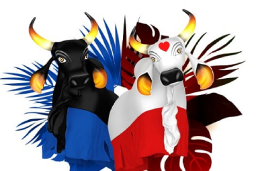 Festival de Parintins 2022: veja onde assistir ao vivo e a programação de  hoje (26/06) | Brasil | O Liberal