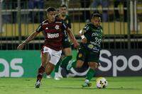 Gilvan de Souza/ CR Flamengo